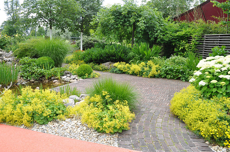 Nová dlažba (ATELIER PAPILIO)