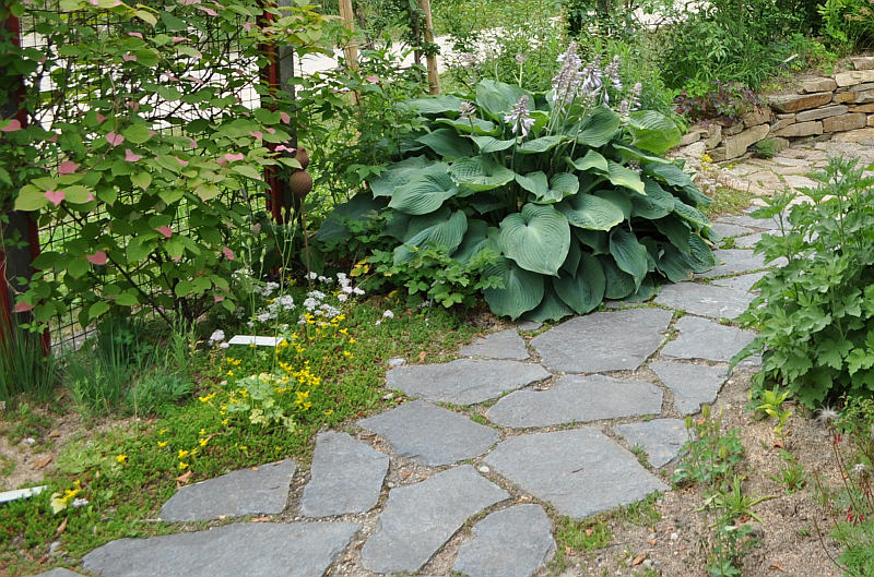 Nová dlažba trochu jinak (ATELIER PAPILIO)