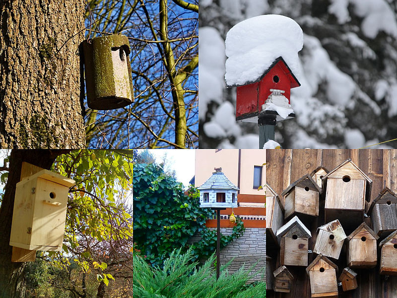 Hnízdní budky jako zimní byt