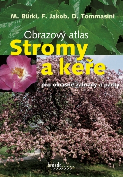Stromy a keře pro okrasné zahrady a parky