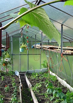 Studený skleník (SKLENÍKY V&P)