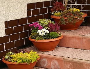 Podzimní aranžování na venkovní schodiště