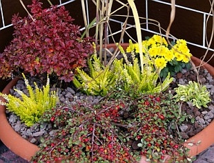 Podzimní aranžování na venkovní schodiště