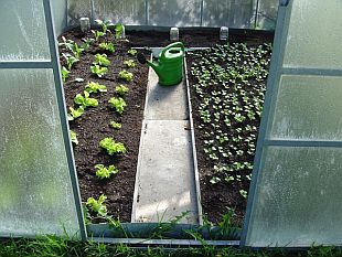 Skleníky a pařeniště: skleník (SKLENÍKY V&P)