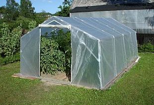 Skleníky a foliovníky: foliovník (FOLIOVNIK)