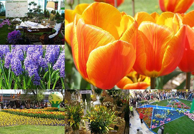 Jarní Flora Olomouc 2009