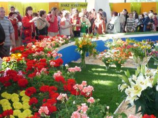 Jarní Flora Olomouc 2010