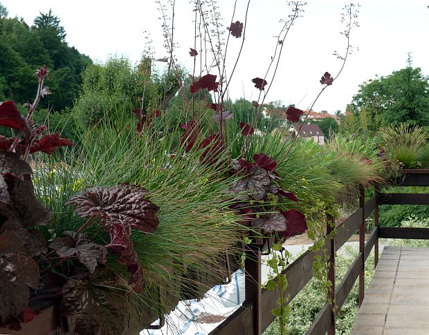 Červen: alternativou truhlíkových výsadeb jsou i nízké trvalky (PROVOBIS)