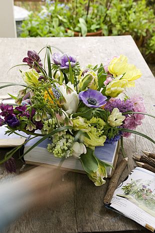 Řezané květiny (TIP ZC CS)