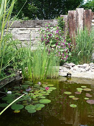 Vodní zahrada (TIP ZC CS)