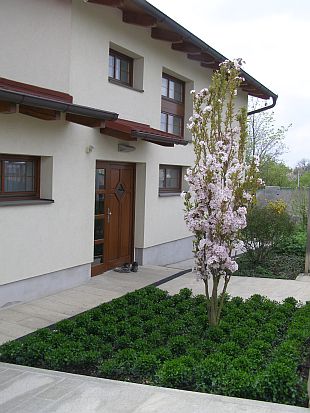 Výběr stromů: sakura