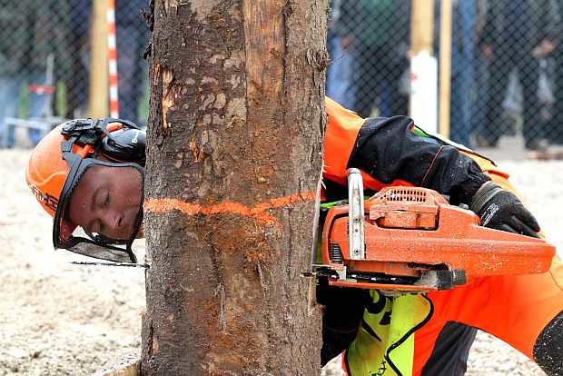 Mistrovství světa v práci s motorovou pilou 2010: kácení (HUSQVARNA)