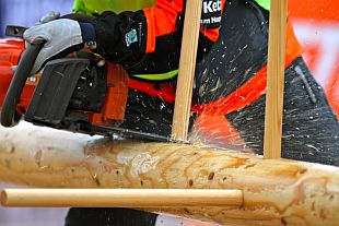 Mistrovství světa v práci s motorovou pilou 2010: odvětvování (HUSQVARNA)