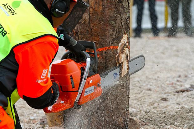 Mistrovství světa v práci s motorovou pilou 2010: kácení (HUSQVARNA)