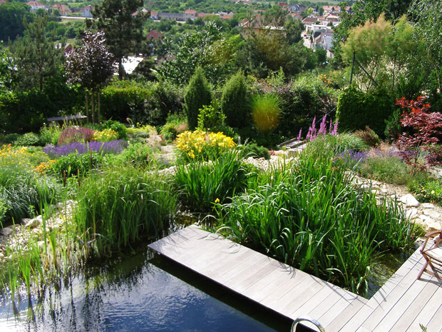 Jezírka - jen čisté jezírko je krásné