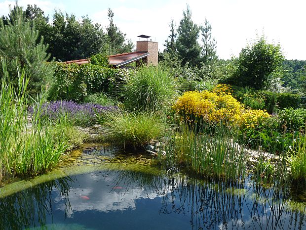 Jezírka - biotop, dva v jednom