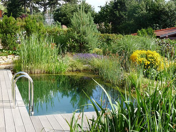 Jezírka - biotop, dva v jednom