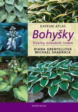 Bohyšky - trvalky ozdobné listem