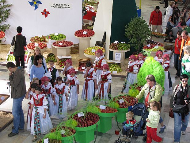 Podzimní Flora Olomouc 2011