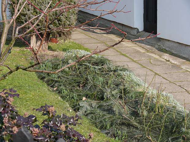 Únor - mráz stále ještě hrozí (PROVOBIS)