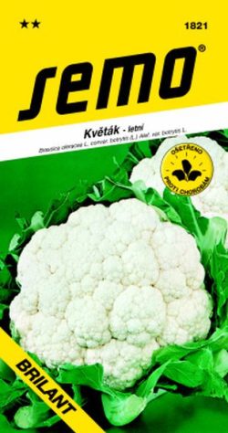 Brassica oleracea convar. botrytis ’Brilant’ - květák