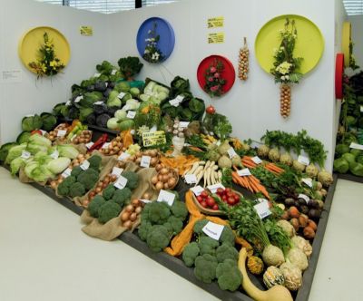 Podzimní Flora Olomouc 2016