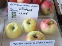 Jabloň domácí 'Míšeňské české' (Malus domestica)